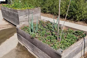 2161 48th Ave, Oakland, CA 94601 - Photo 35