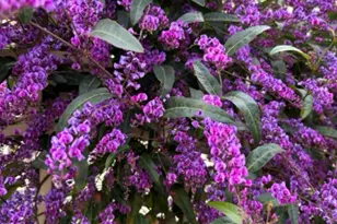 2161 48th Ave, Oakland, CA 94601 - Photo 45