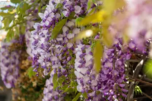 812 19th St, Oakland, CA 94606 - Photo 33