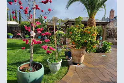 4151 Storey Lane, Concord, CA 94518 - Photo 35