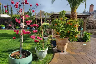 4151 Storey Ln, Concord, CA 94518 - Photo 35