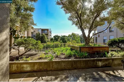 430 Civic Dr #310, Walnut Creek, CA 94596 - Photo 17