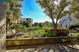 430 Civic Dr, Walnut Creek, CA 94596 - Photo 17