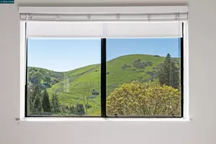 360 Eagle Nest Ln, Danville, CA 94506 - Photo 31