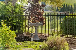 360 Eagle Nest Ln, Danville, CA 94506 - Photo 37