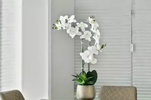 210 Lafayette Cir, Lafayette, CA 94549 - Photo 17