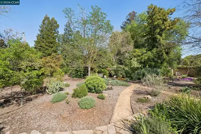 11 Bradley Ave, Walnut Creek, CA 94596 - Photo 49