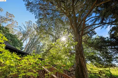 6600 Heather Ridge Way, Oakland, CA 94611 - Photo 57