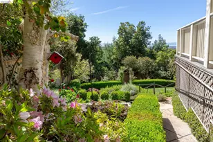 316 Pacific Ave, Piedmont, CA 94611 - Photo 53