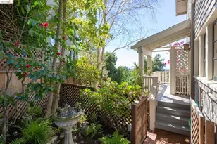 316 Pacific Ave, Piedmont, CA 94611 - Photo 51