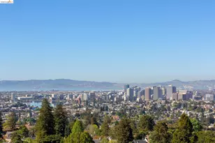 316 Pacific Ave, Piedmont, CA 94611 - Photo 23