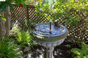 316 Pacific Ave, Piedmont, CA 94611 - Photo 57