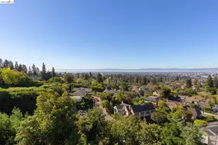 316 Pacific Ave, Piedmont, CA 94611 - Photo 37