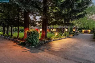 117 Leona Ct, Alamo, CA 94507 - Photo 53