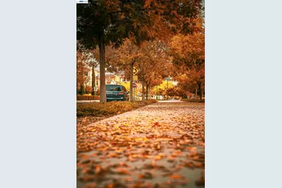 3398 Araldi Ln, Dublin, CA 94568 - Photo 43