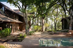 289 Castle Crest Rd, Alamo, CA 94507 - Photo 43