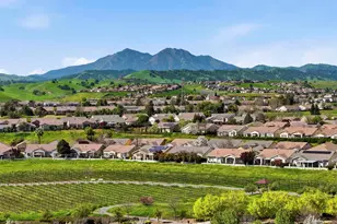 1463 Bismarck Ln, Brentwood, CA 94513 - Photo 41