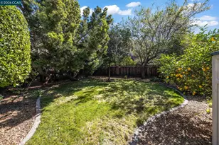 5910 Chabot Rd, Oakland, CA 94618 - Photo 43