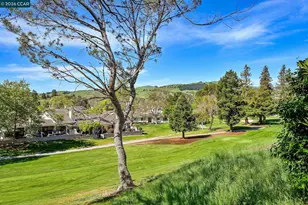 537 Rolling Hills Ln, Danville, CA 94526 - Photo 23