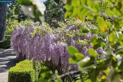 2358 Stone Valley Rd, Alamo, CA 94507 - Photo 53