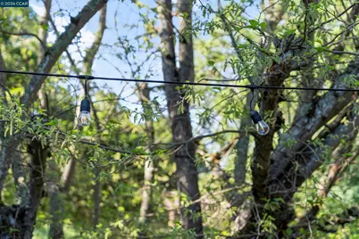 837 Rosewood Ct, Walnut Creek, CA 94596 - Photo 37