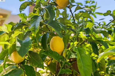 4071 Walnut Dr, Pleasanton, CA 94566 - Photo 39