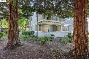 34671 Agree Terrace, Fremont, CA 94555 - Photo 21