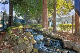 34380 Gadwall Common, Fremont, CA 94555 - Photo 37