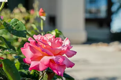 211 Meadowlark Way, Hercules, CA 94547 - Photo 3