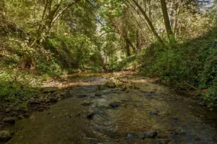 15765 Kings Creek Rd, Boulder Creek, CA 95006 - Photo 53