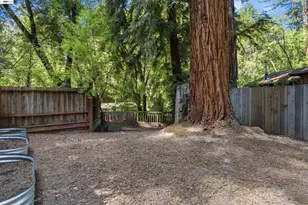 15765 Kings Creek Rd, Boulder Creek, CA 95006 - Photo 21