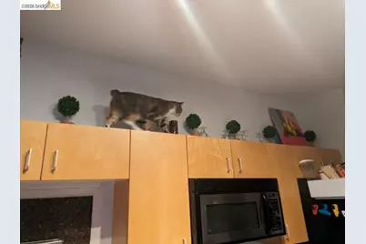 1007 41st St #513, Emeryville, CA 94608 - Photo 5