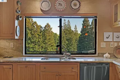 159 Golden Ridge Rd, Alamo, CA 94507 - Photo 21