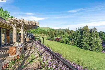 159 Golden Ridge Rd, Alamo, CA 94507 - Photo 55