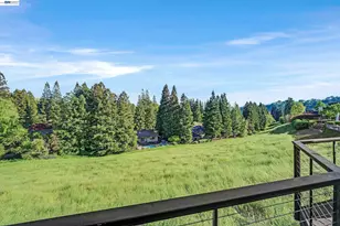 159 Golden Ridge Rd, Alamo, CA 94507 - Photo 55