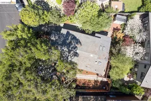 71 Norwood Ave, Kensington, CA 94707 - Photo 55