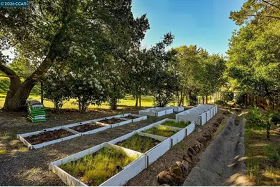 46 Tam O Shanter Rd, Alamo, CA 94507 - Photo 47