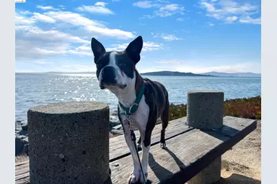 91 Marina Lakes Dr, Richmond, CA 94804 - Photo 55