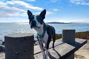 91 Marina Lakes Dr, Richmond, CA 94804 - Photo 55