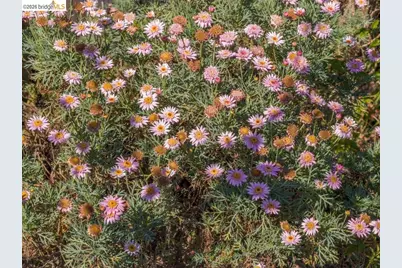 737 Dartshire Way, Sunnyvale, CA 94087 - Photo 41