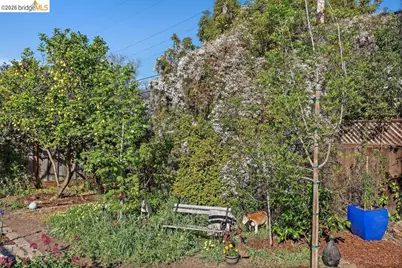 737 Dartshire Way, Sunnyvale, CA 94087 - Photo 33