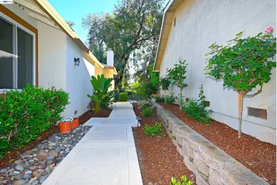 597 Saint George Rd, Danville, CA 94526 - Photo 43