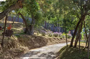 4451 St Andrews Rd, Oakland, CA 94605 - Photo 57