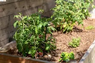 4451 St Andrews Rd, Oakland, CA 94605 - Photo 51