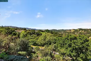 1 Gardiner Ct, Orinda, CA 94563 - Photo 9