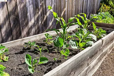 4110 Lusk St, Oakland, CA 94608 - Photo 53