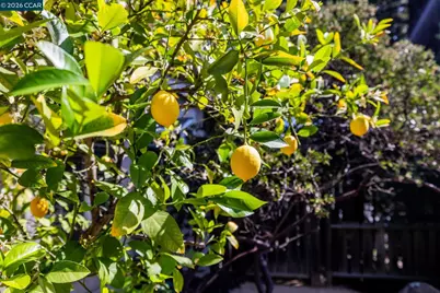 770 Highbridge Ln, Danville, CA 94526 - Photo 25