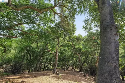 6034 Slopeview Ct, Castro Valley, CA 94552 - Photo 27