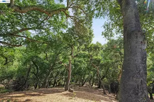 6034 Slopeview Ct, Castro Valley, CA 94552 - Photo 27