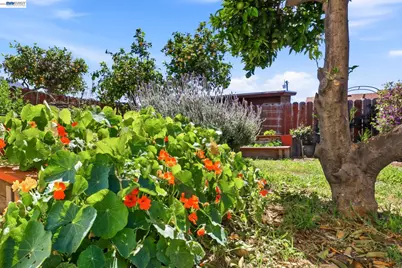 16311 Ria Dr, Ashland, CA 94578 - Photo 41